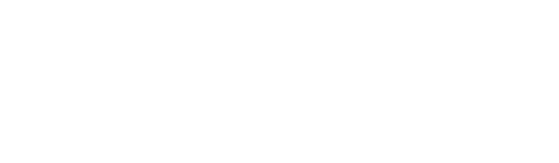 FINI VIAGGI